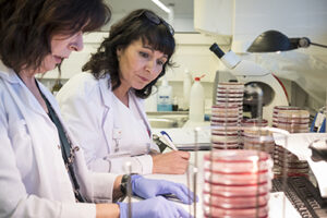 La nova directora de cures infermeres convoca el CCIIC per “conèixer de primera mà” la situació de la professió a Catalunya